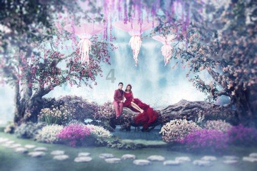 测试你与TF男孩的缘分